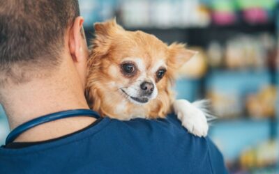 Veterinary Professional Liability Insurance